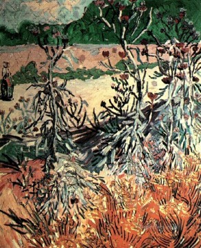 Cardos Vincent van Gogh Pinturas al óleo